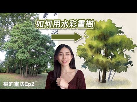 樹怎麼畫|如何通過 4 個步驟繪製樹木和森林